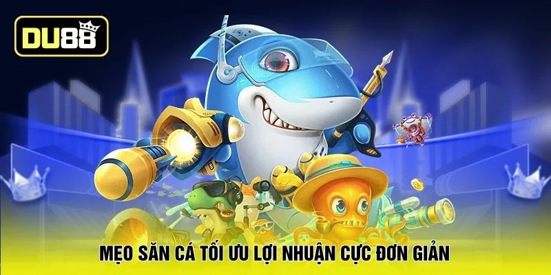 Mẹo săn cá tối ưu lợi nhuận cực đơn giản