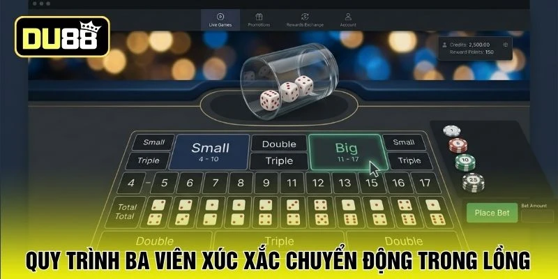 Quy trình ba viên xúc xắc chuyển động trong lồng