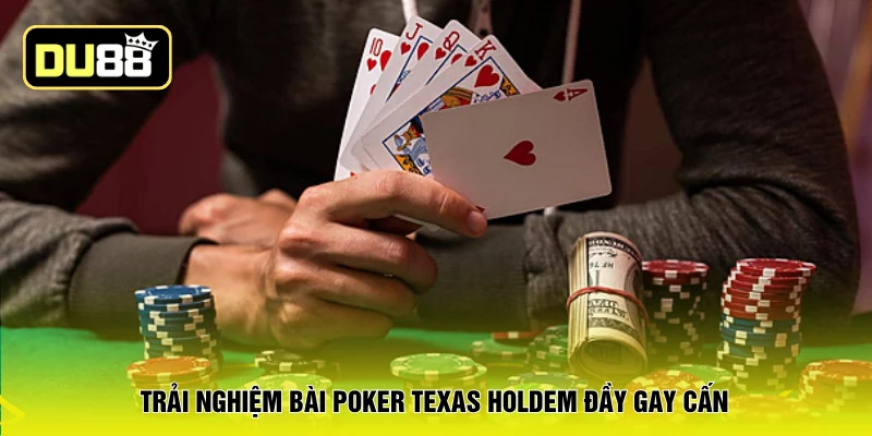 Trải nghiệm bài poker texas holdem đầy gay cấn